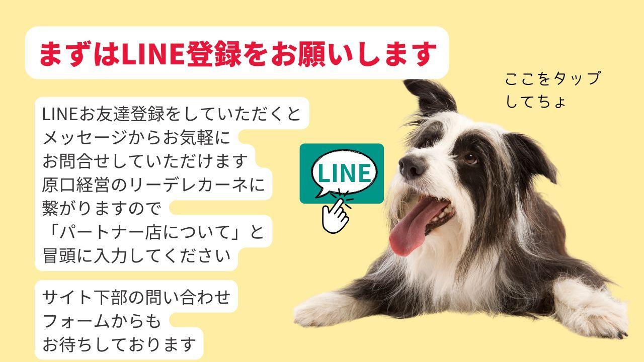まずはペットサロンリーデレカーネの公式LINEに登録をお願いします。LINEお友達登録をしていただくと メッセージからお気軽に お問合せしていただけます  原口が経営しています リーデレカーネのラインに繋がりますので 「実務受入れについて」と 冒頭に入力してください